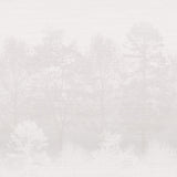 Mist FJ100200