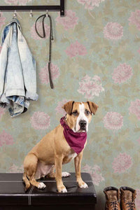 Morrissey Cherry Blossom Peel and Stick Wallpaper MD41210 - Mayflower Wallpaper