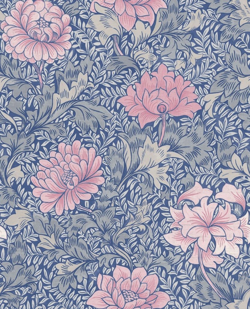 blue and pink flower background