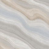 Paria Canyon	WMA ST010900