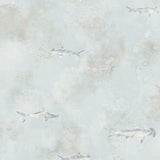 Tiburones FJ040214 