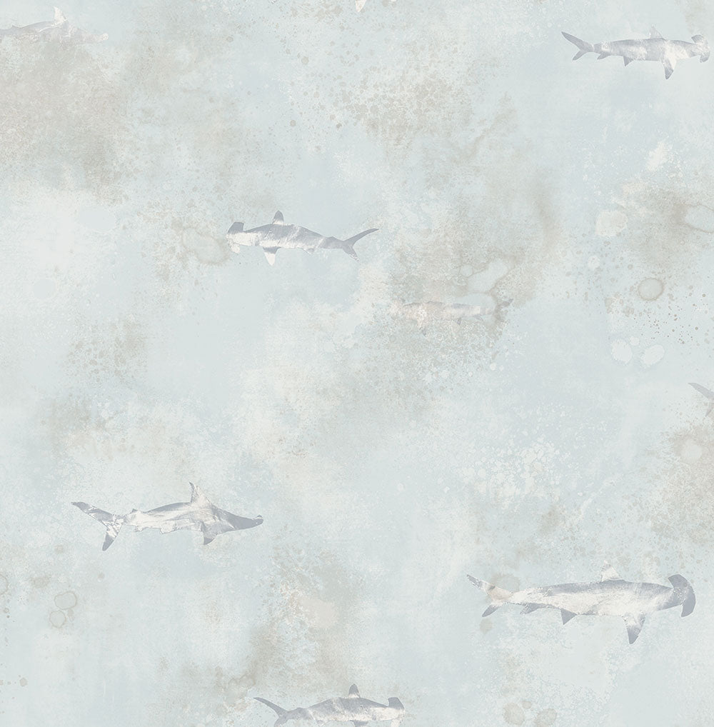Sharks FJ040214 - Mayflower Wallpaper