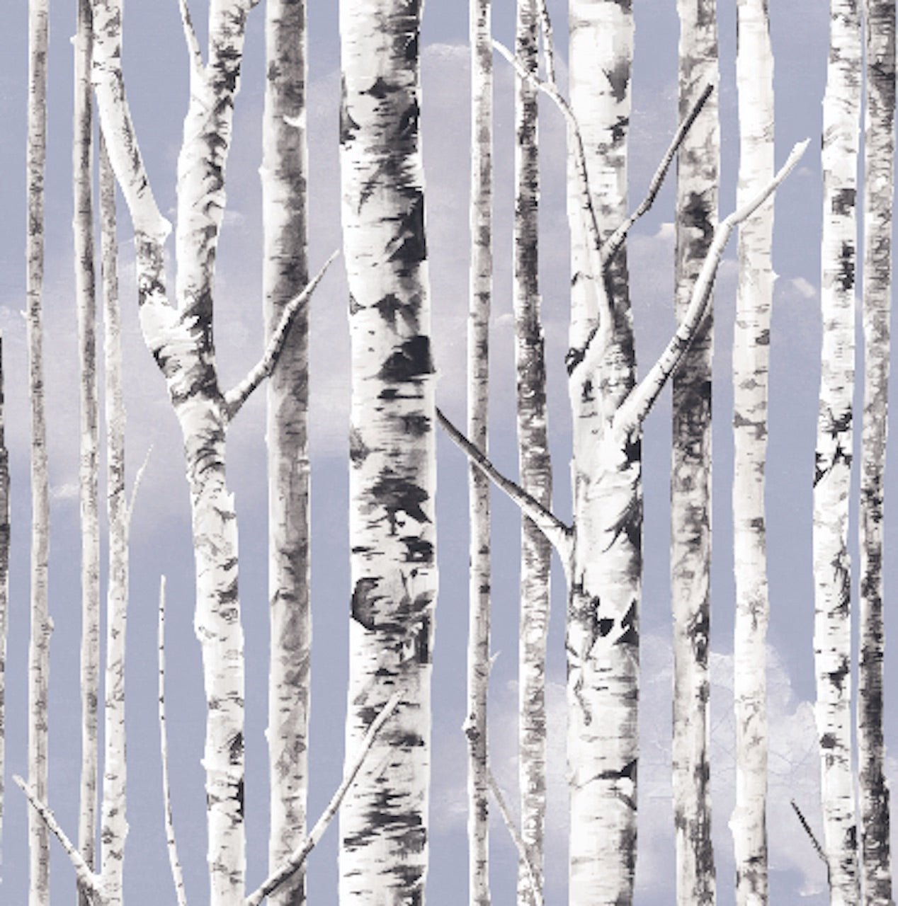 Alexsix Birch Tree Wallpaper Modern Decor Wall Paper Roll Forest Wood  Wallpapers for Bedroom Living Room