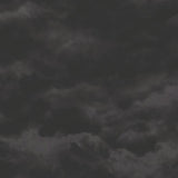 Cielo FJ000219 